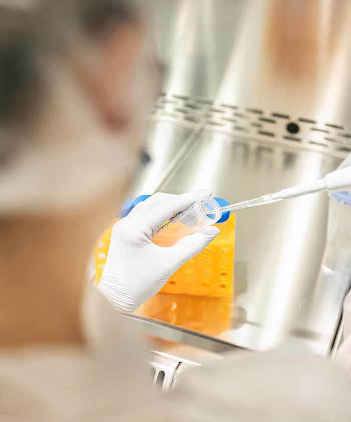 Pipetting of molecular size marker