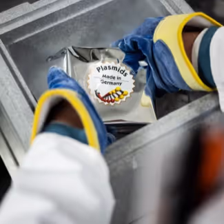 Packaging the plasmids on dry ice for shipping