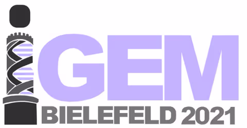 GEM Bielefeld 2021