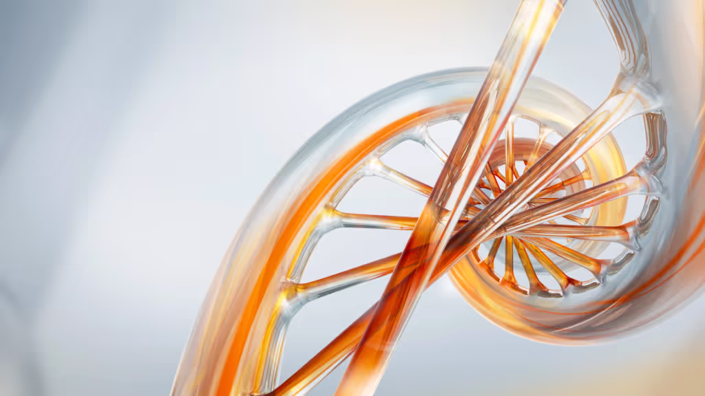 Plasmid DNA helix schematic
