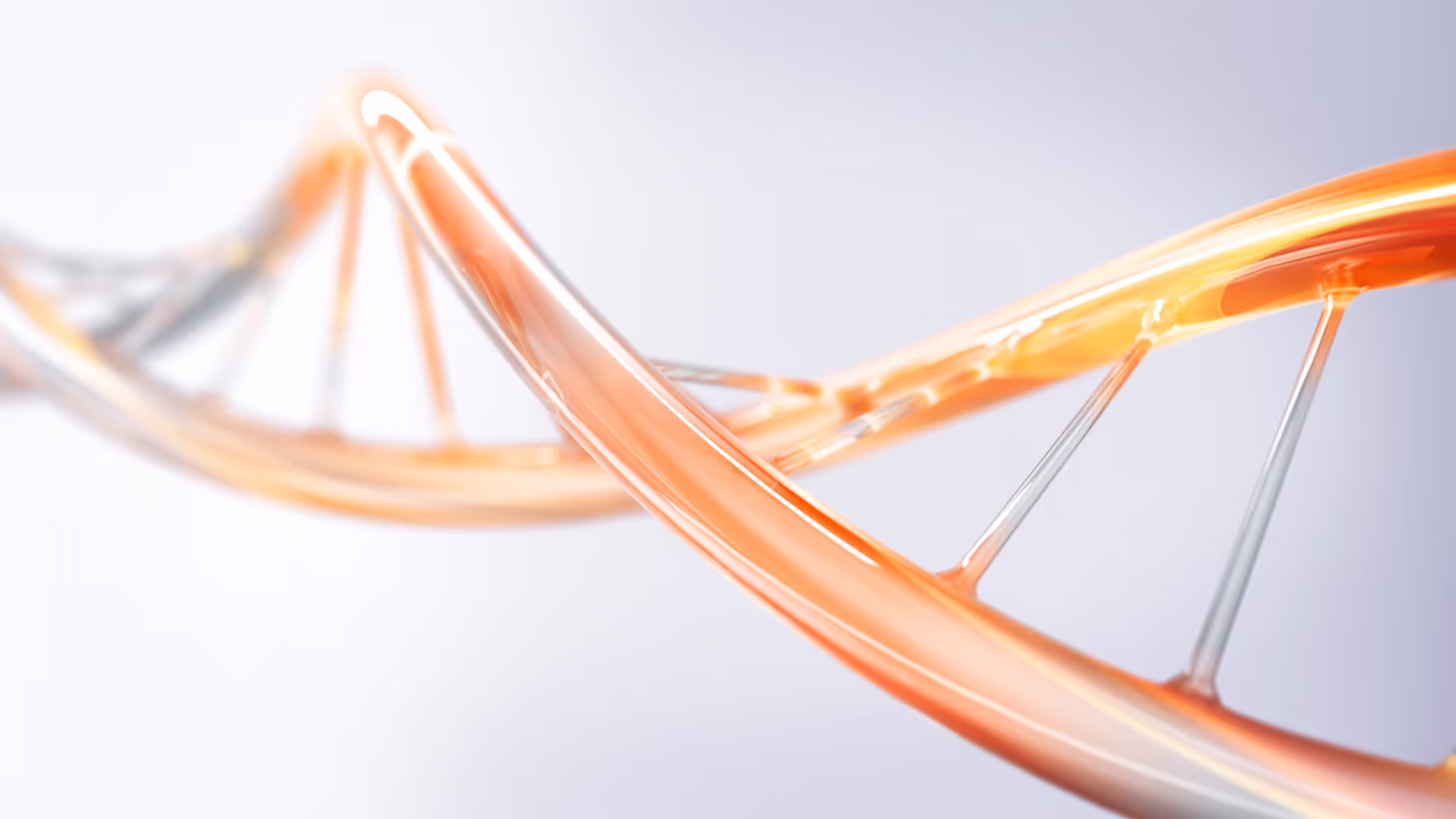 Plasmid DNA helix schematic