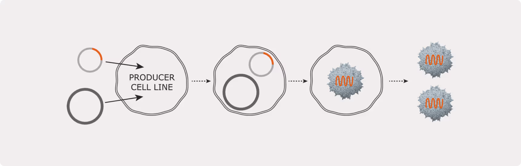 2-Plasmid-System for production of AAVs