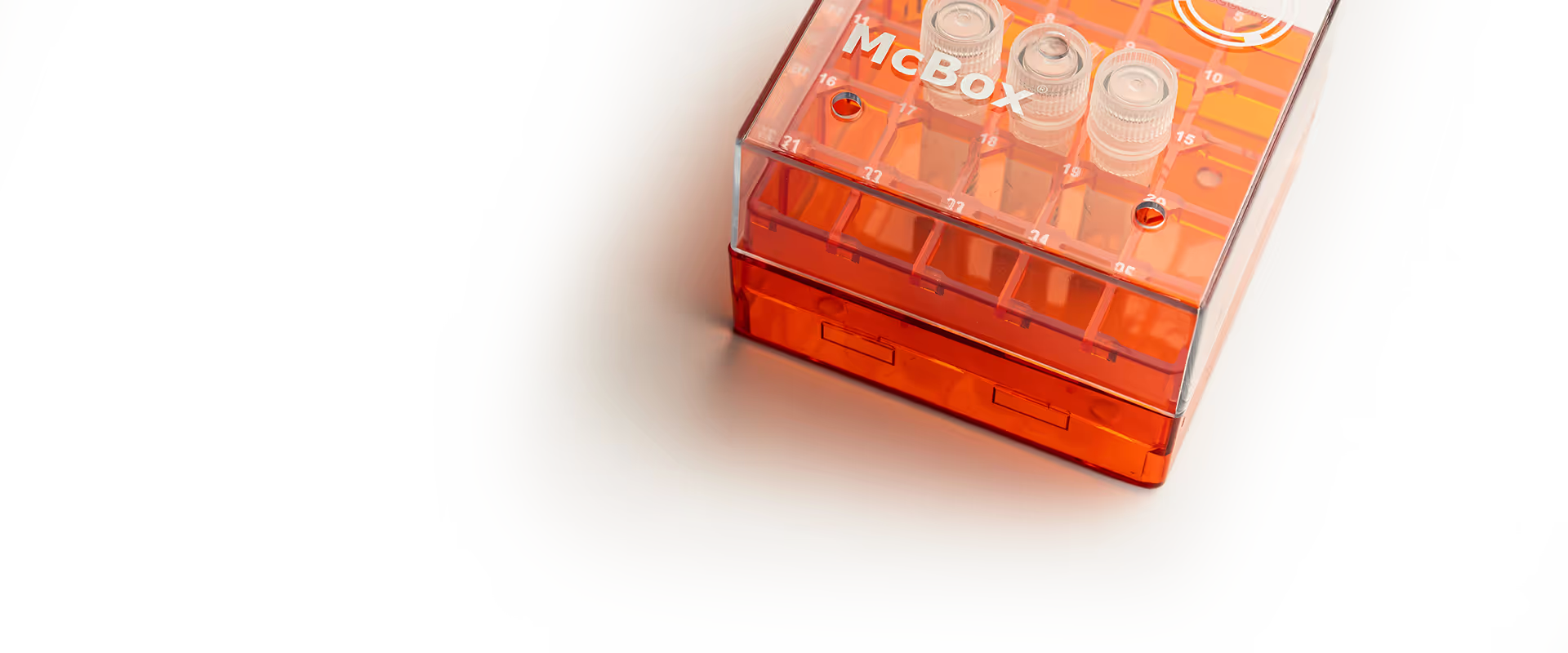 McBox - minicircle test box